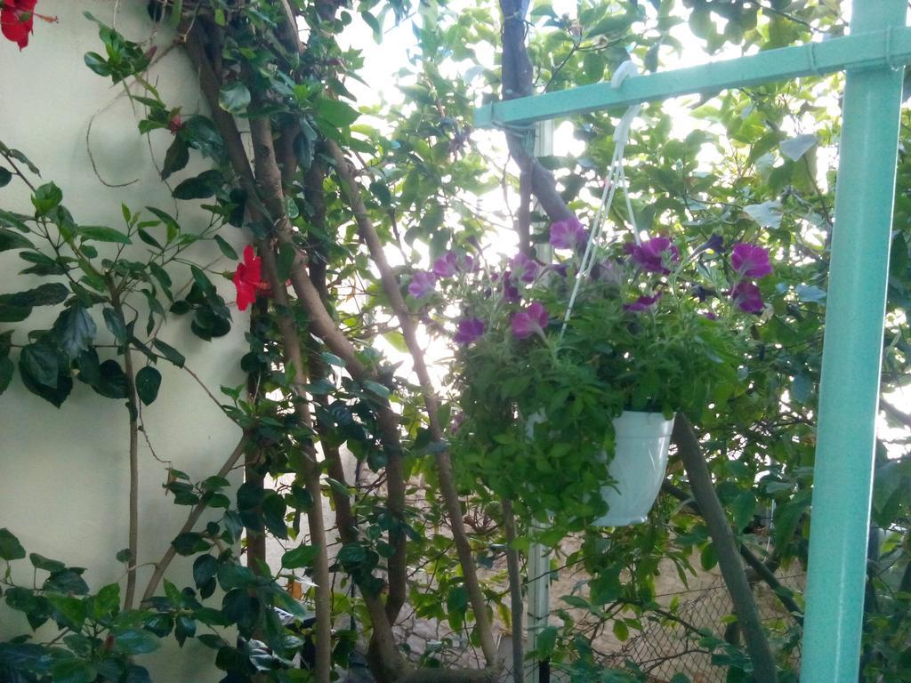 אגיה פלגיה קיתירה Mary'S Studios מראה חיצוני תמונה